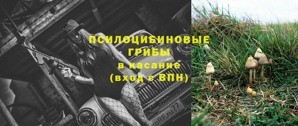 сатива Абдулино